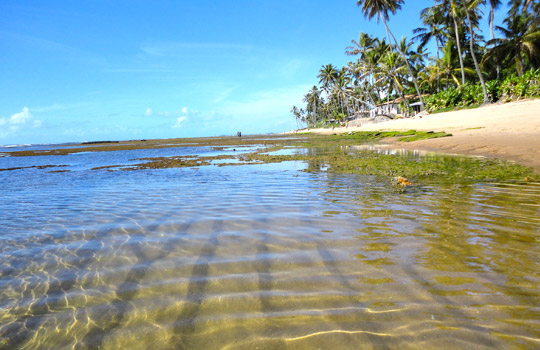 Praia do Forte - Madalena Apart